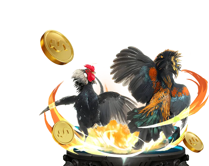 Hoàn trả hàng ngày 77bet